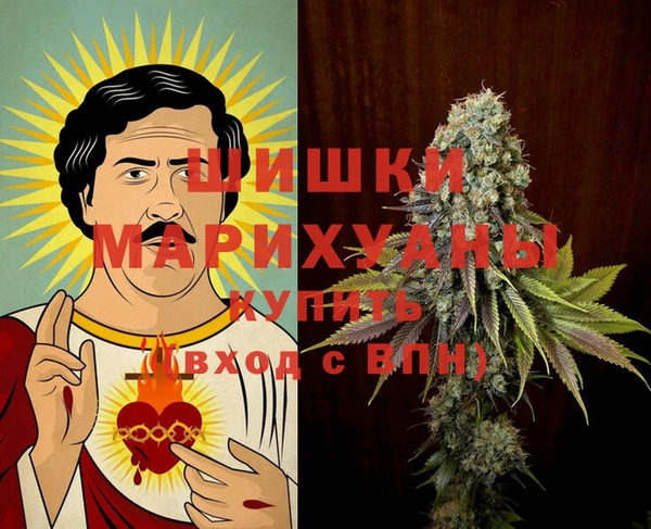 apvp Инсар