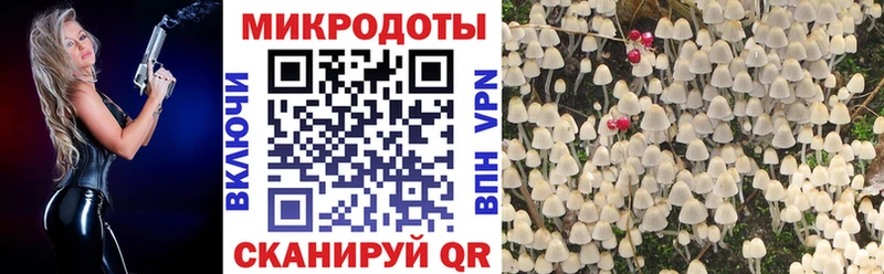 Псилоцибиновые грибы MAGIC MUSHROOMS  Новороссийск 