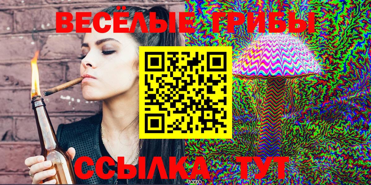 Галлюциногенные грибы Psilocybe  Вход с VPN  Новороссийск 