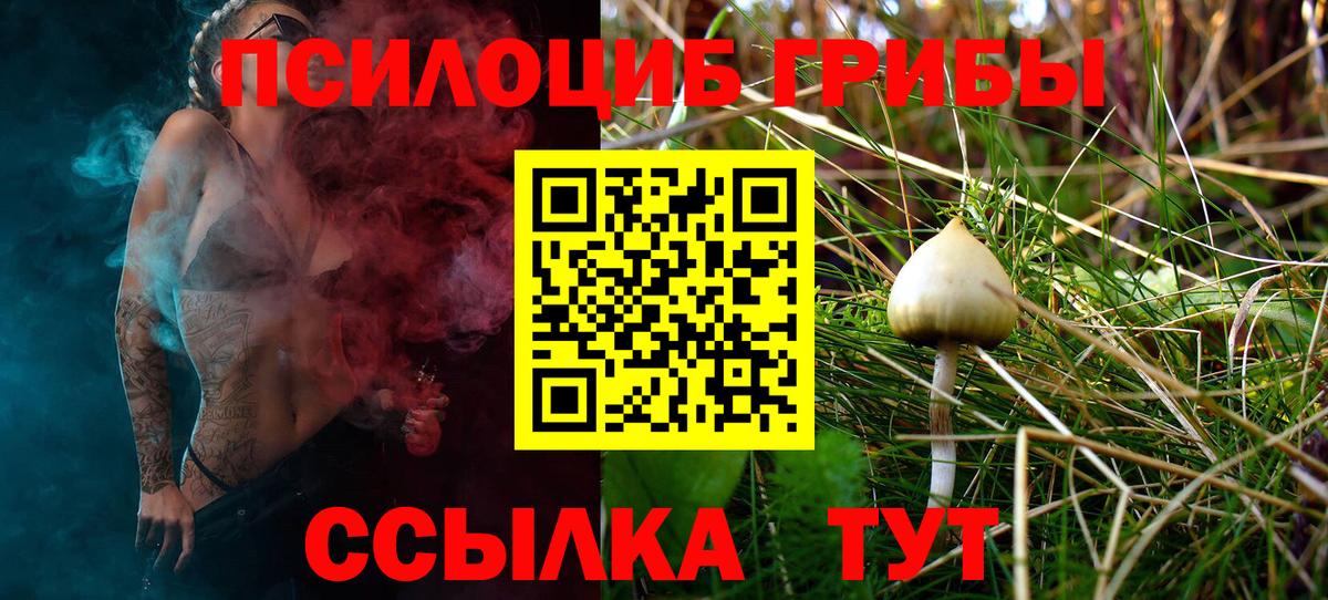 Галлюциногенные грибы ЛСД Новороссийск